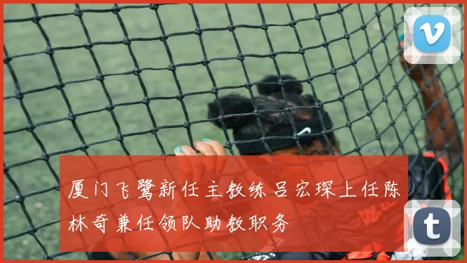 厦门飞鹭新任主教练吕宏琛上任陈林奇兼任领队助教职务