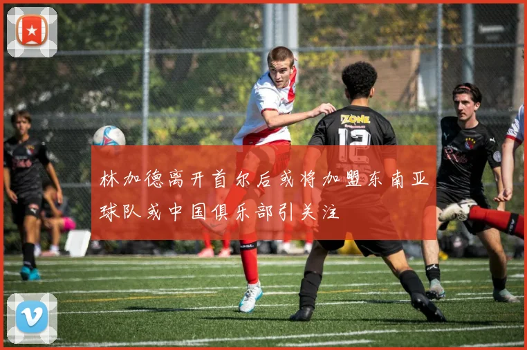 林加德离开首尔后或将加盟东南亚球队或中国俱乐部引关注
