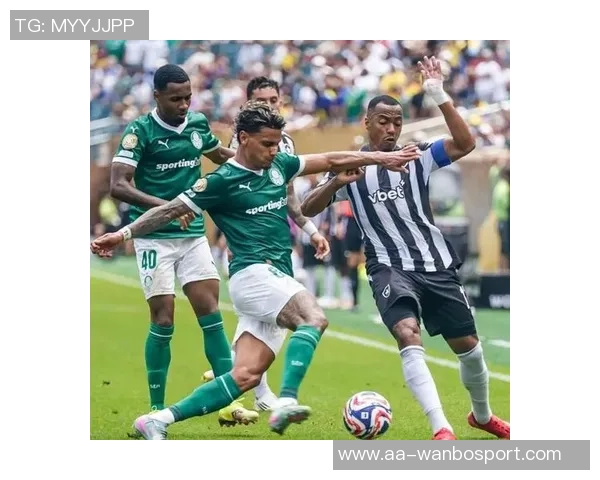 帕尔梅拉斯关注布莱顿后卫伊戈尔现正外租于西汉姆