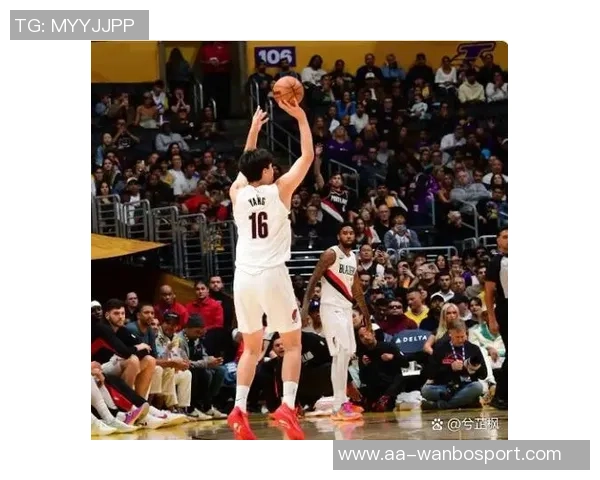 周三竞彩篮球焦点战：森林狼全力出击杨瀚森或迎职业生涯首秀